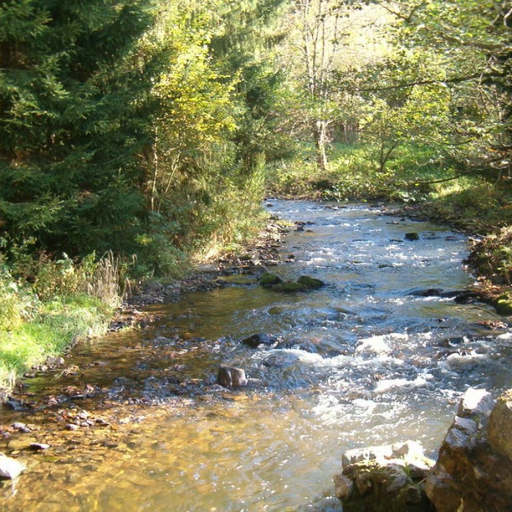 Suivi des niveaux des nappes de tourbières