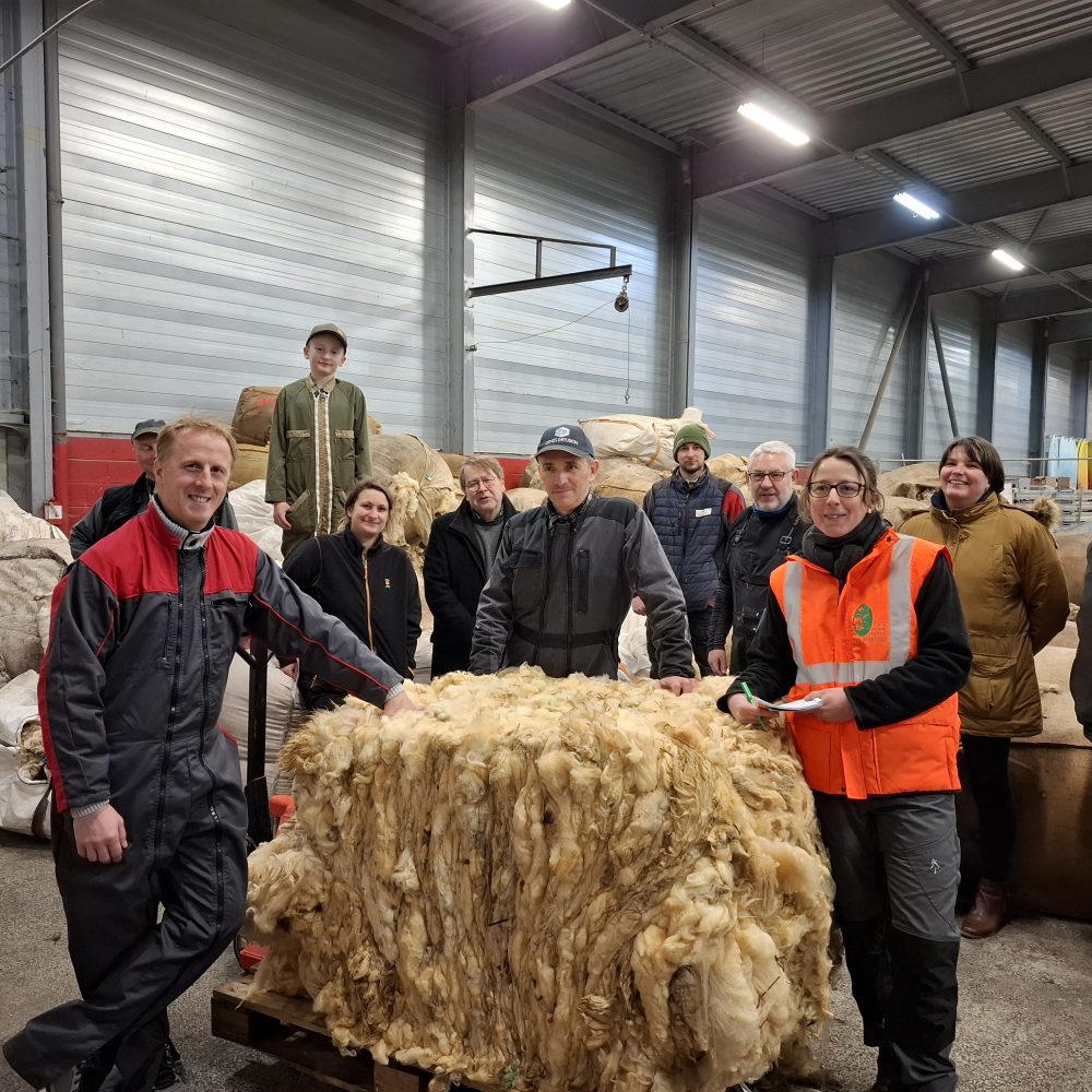 Une nouvelle étape pour la valorisation de la laine dans les Ardennes !