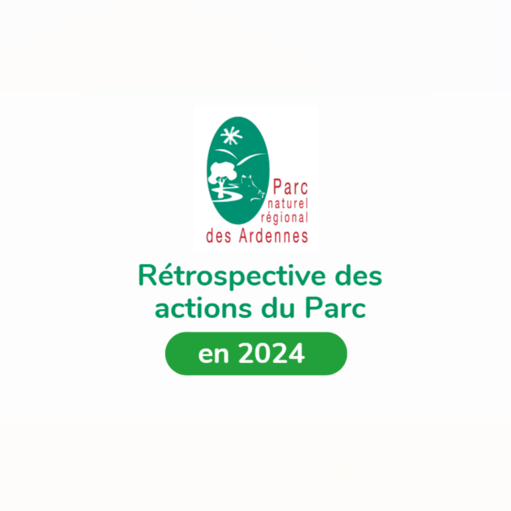 Rétrospective des actions du Parc en 2024